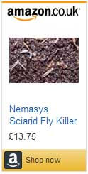 Sciarid Fly Killer sur Amazon.co.uk