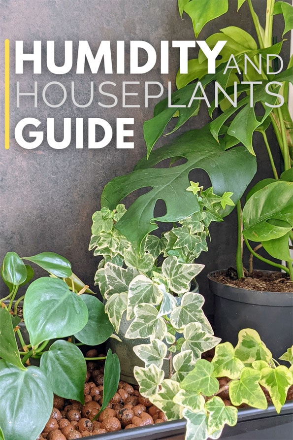 https://www.ourhouseplants.com/imgs-content/humidity-and-houseplant-guide.jpg