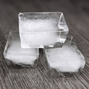 Ice Cubes and houseplants