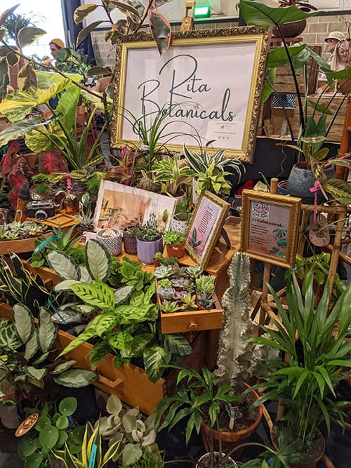 A stall with many houseplants for sale laid out in a stylish way. A large frame in the middle says Rita Botanicals