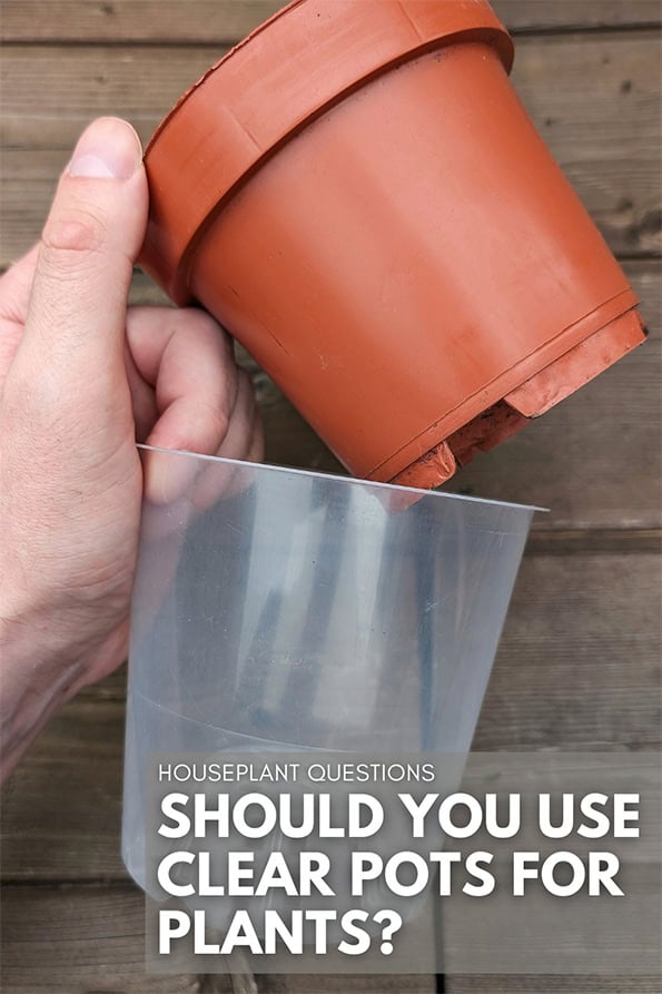 A hand holding two plant pots, one is clear and the other is traditional opaque orange