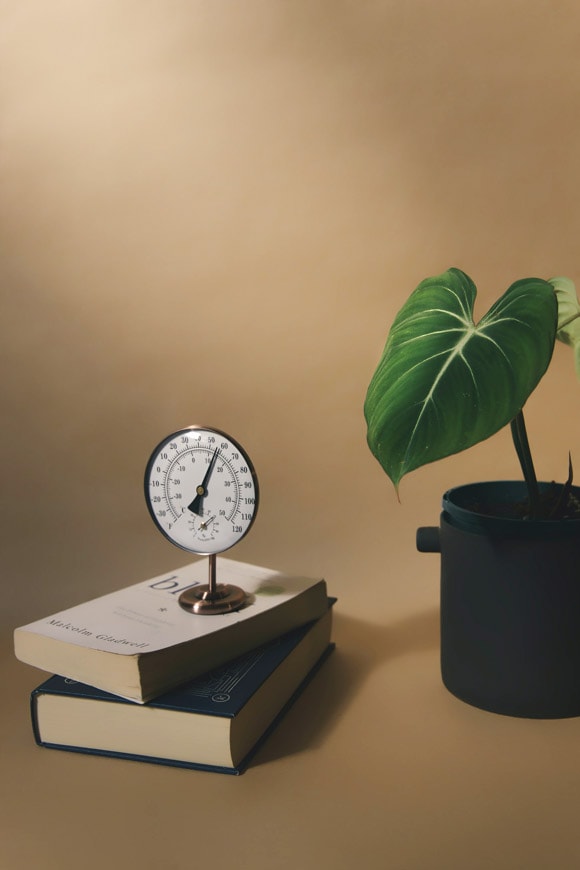 https://www.ourhouseplants.com/imgs-content/temperature-gage-houseplant.jpg