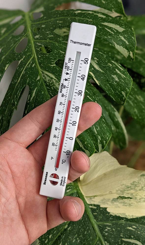 Thermometer between garden plants. Thermometer shows very hot